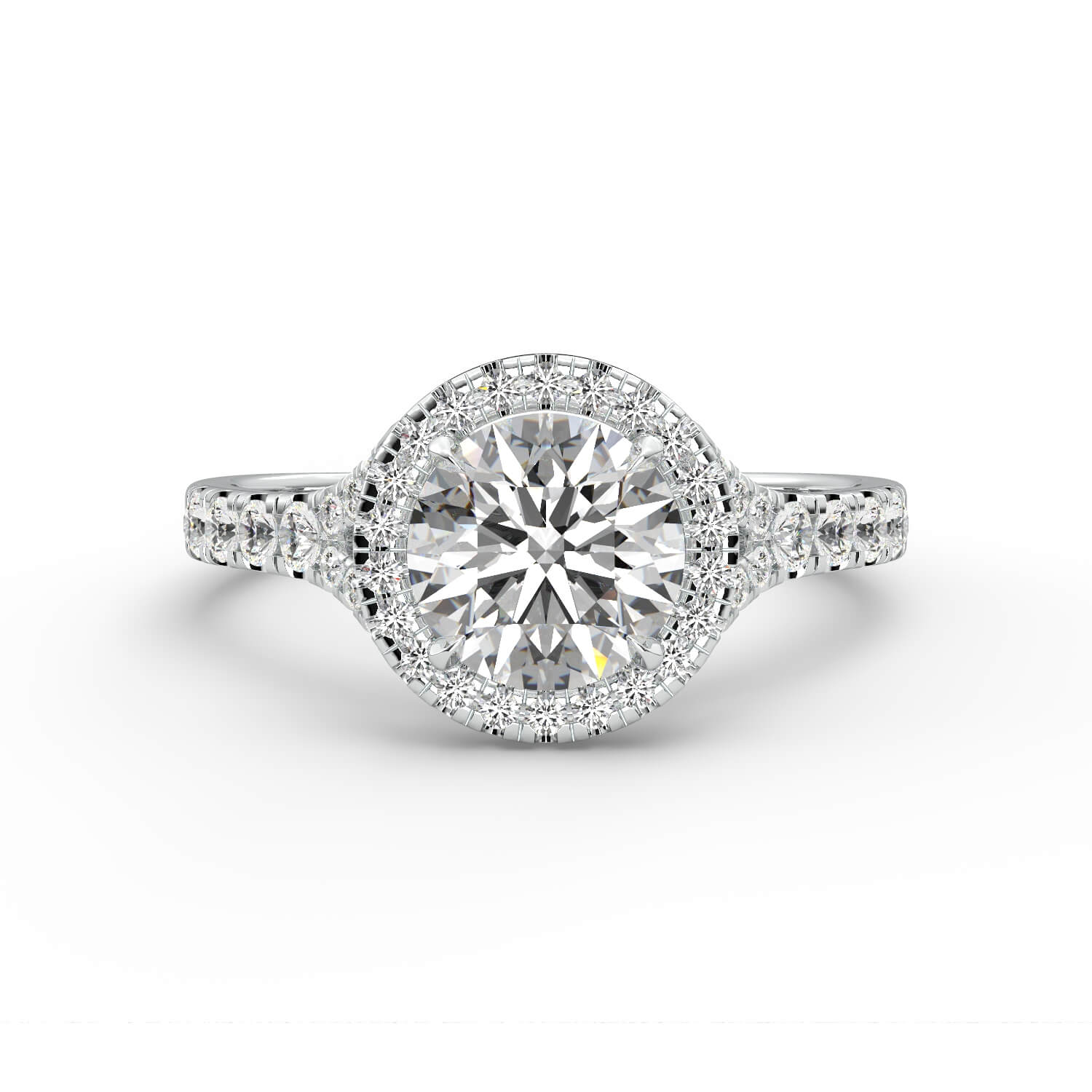 טבעת זהב לבן 14K היילו בשיבוץ יהלום עגול 4 שיניים בית משובץ